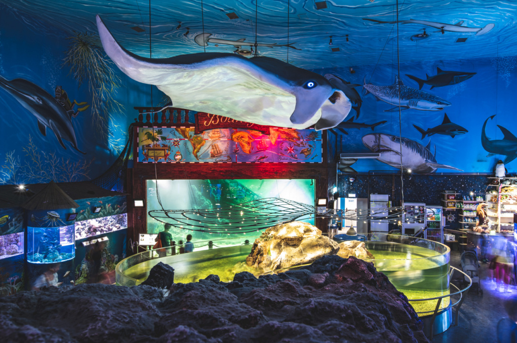 Malba stropu Mořský svět Praha