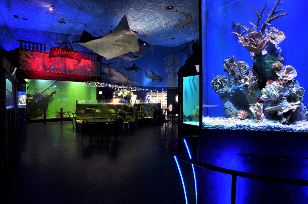 Malba stropu Mořský svět Praha